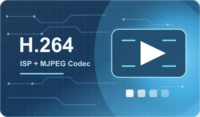 Image processing and codec capability for video products