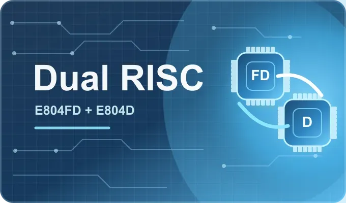 Dual-core RISC architecture for control and media workloads